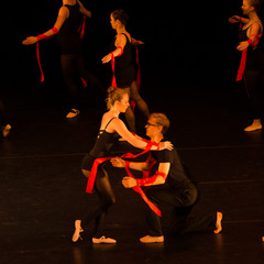d7k_0683_carrysize_cr_44271340105_o.jpg